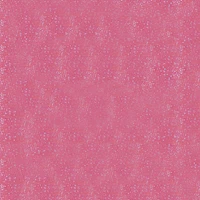 Stay Glossy 3D Lipgloss