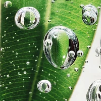 Pure Shots Eye Reboot Concentrate