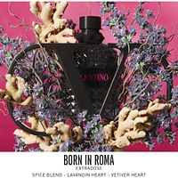 Born Roma Uomo Extradose Eau de Parfum
