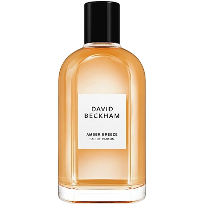 Eau de Parfum pour homme Amber Breeze, fraîche et aromatique, parfum longue tenue