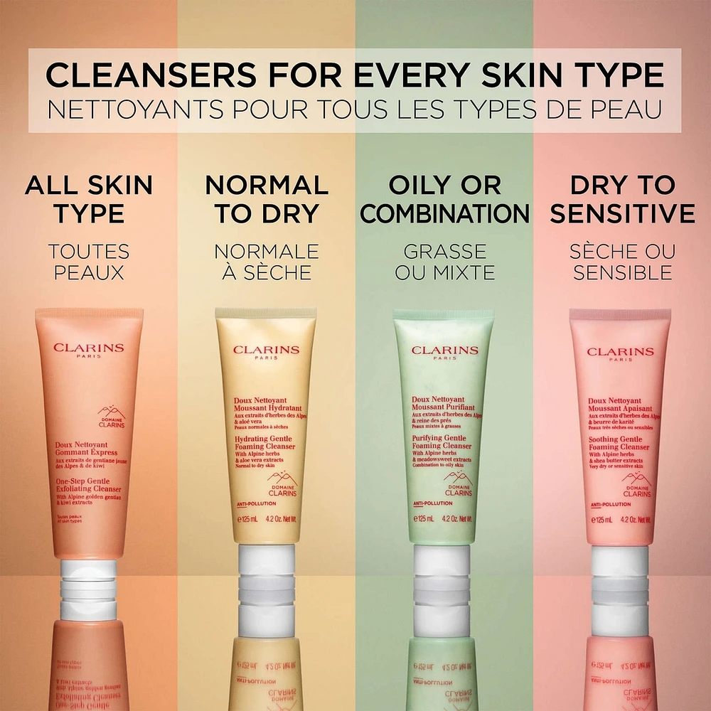 Purifying Gentle Foaming Cleanser