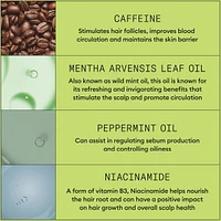 Soin épaississant pour cuir chevelu et cheveux Système 2 de Nioxin - pour les cheveux naturels et très clairsemés - Comprend un shampooing mL
