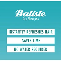 Shampooing sec, Original