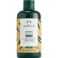 Shampooing soin cuir chevelu au gingembre