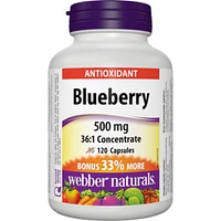 Blueberry 36:1 Concentrate 500 mg