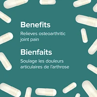 Glucosamine Sulfate 500 mg