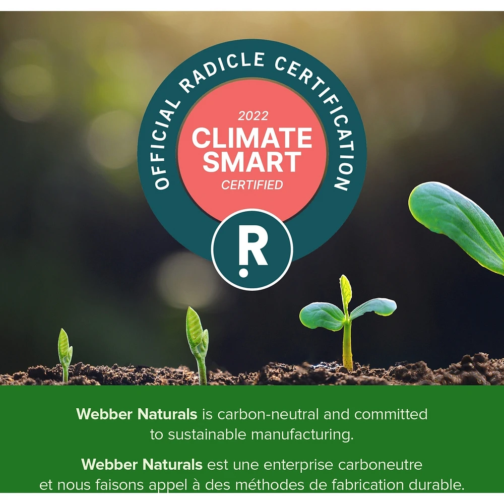 Extra Strength Ginkgo Biloba 6000 mg (raw herb)