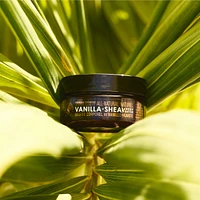 Vanilla Shea Body Butter