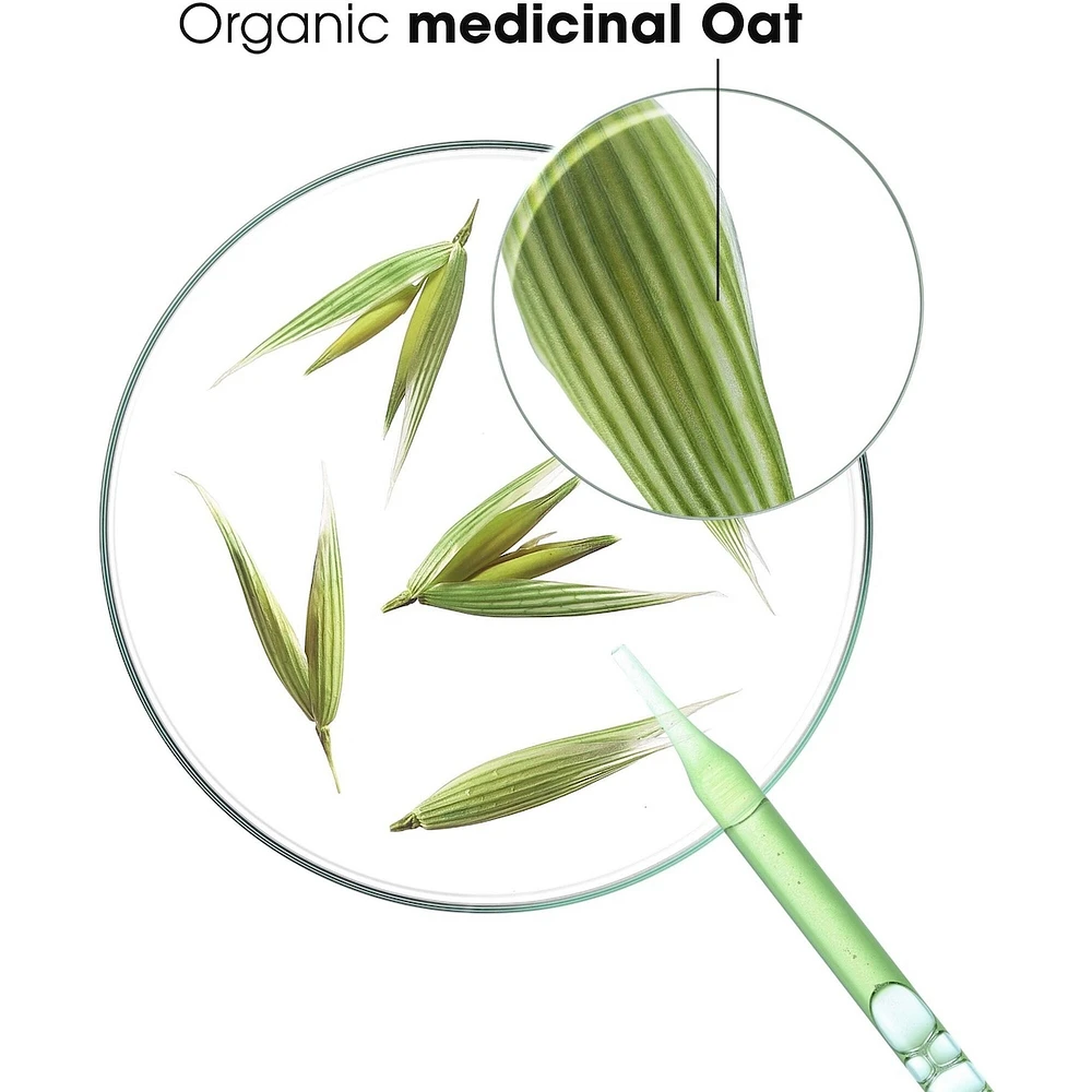 BONUS SIZE Ultra-gentle tinted dry shampoo with Oat and Ceramideᴸᴵᴷᴱ