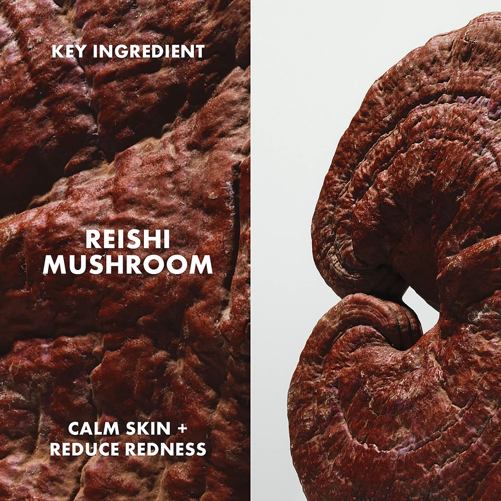 Dr. Andrew Weil for Origins™ Mega-Mushroom Relief & Resilience Soothing Treatment Lotion