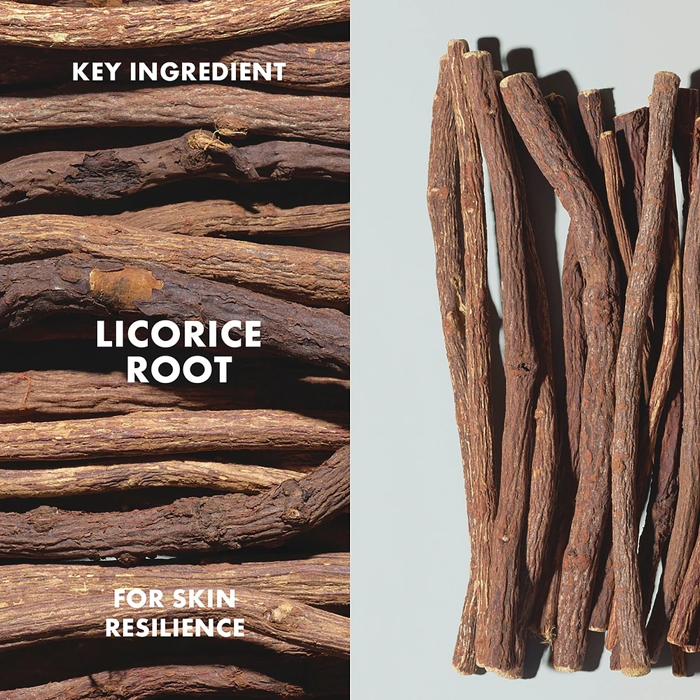 Dr. Andrew Weil for Origins™ Mega-Mushroom Relief & Resilience Soothing Treatment Lotion