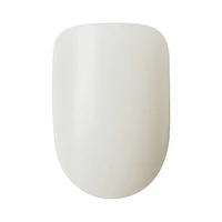 Kiss 100 Count - Active Oval