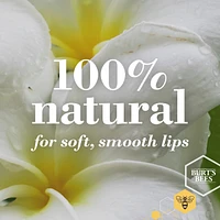 100% Natural Origin Moisturizing Lip Balm, Wild Cherry