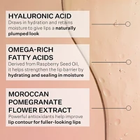 Hyaluronic Omega Moisture Lip Mask