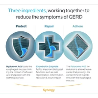 Acid- Reflux Therapy