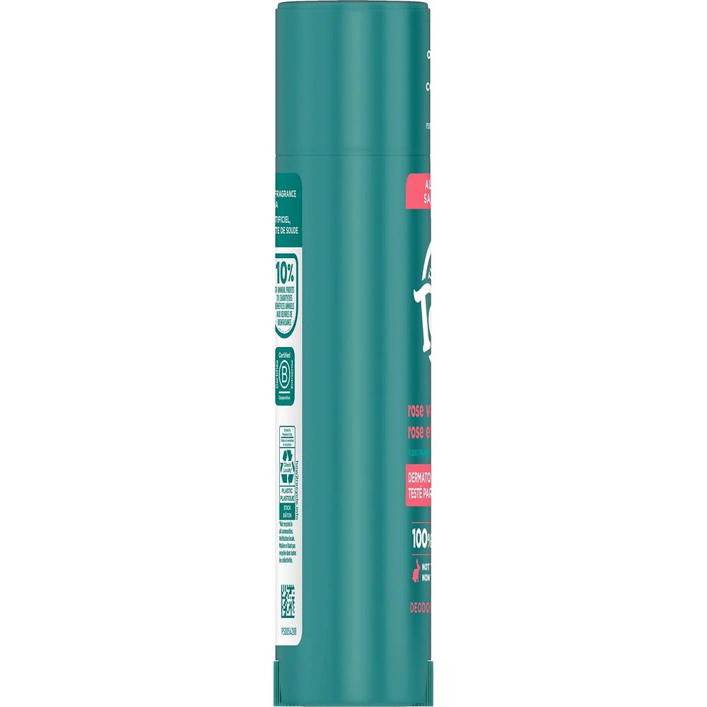 Déodorant naturel pour femmes et hommes Tom’s of Maine Rose et vanille, sans aluminium, 92 g