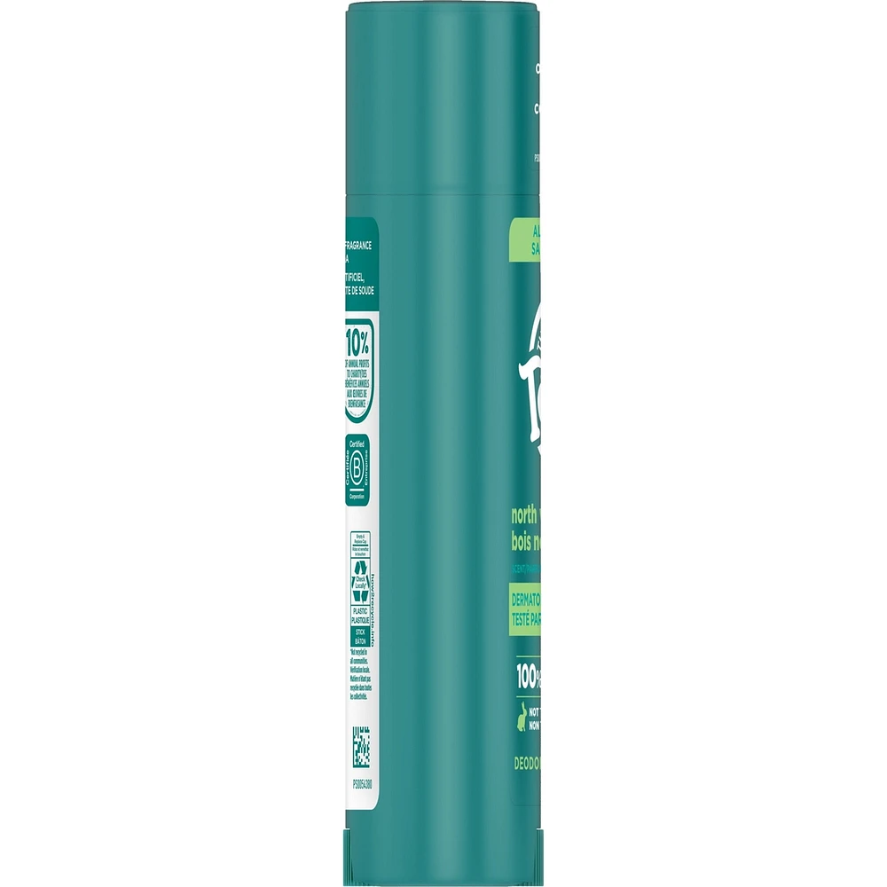 Déodorant naturel pour hommes et femmes Tom’s of Maine Bois nordique, sans aluminium, 92 g