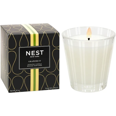 Bougie classique Pamplemousse