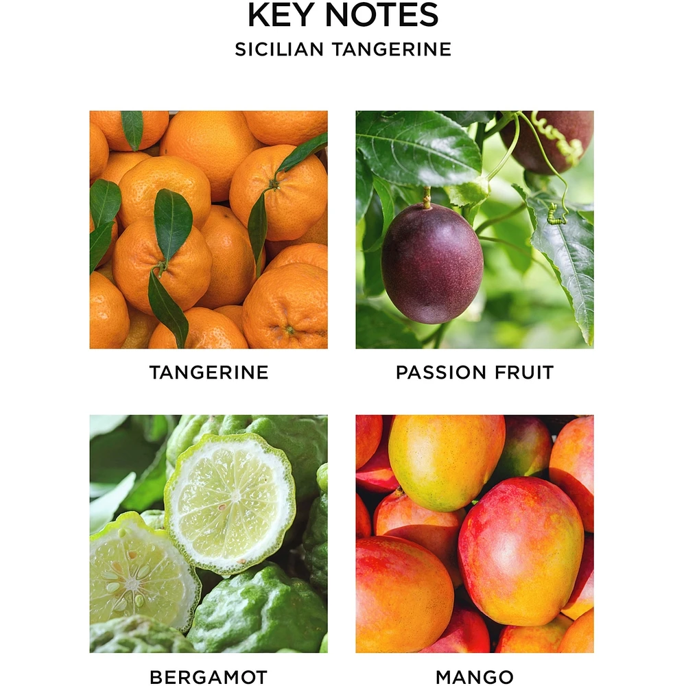 Diffuseur de parfum Tangerine sicilienne