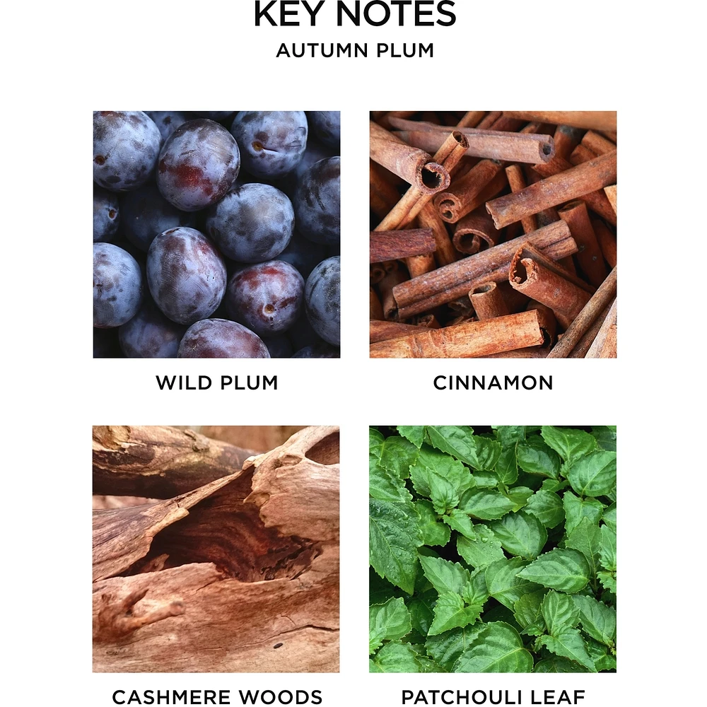 Autumn Plum Reed Diffuser