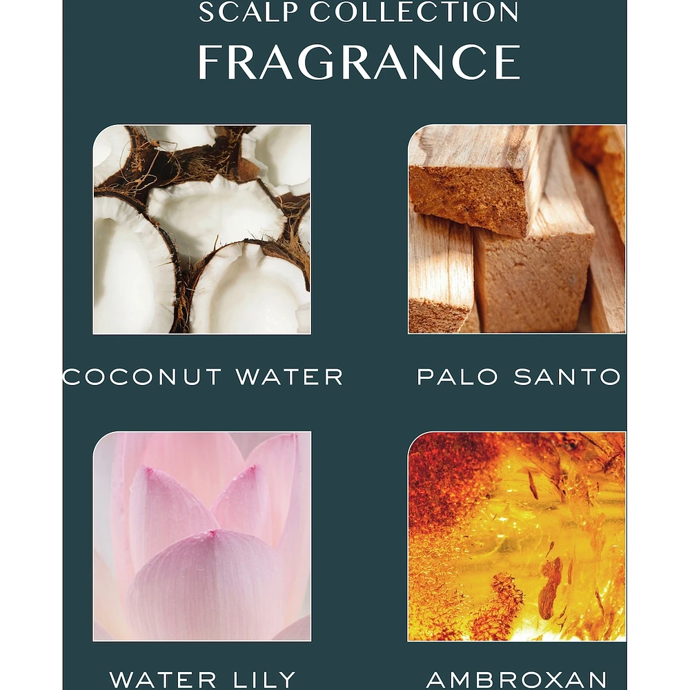 Instant Exfoliating Scalp Scrub