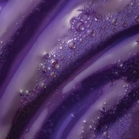 The One Purple Shampoo