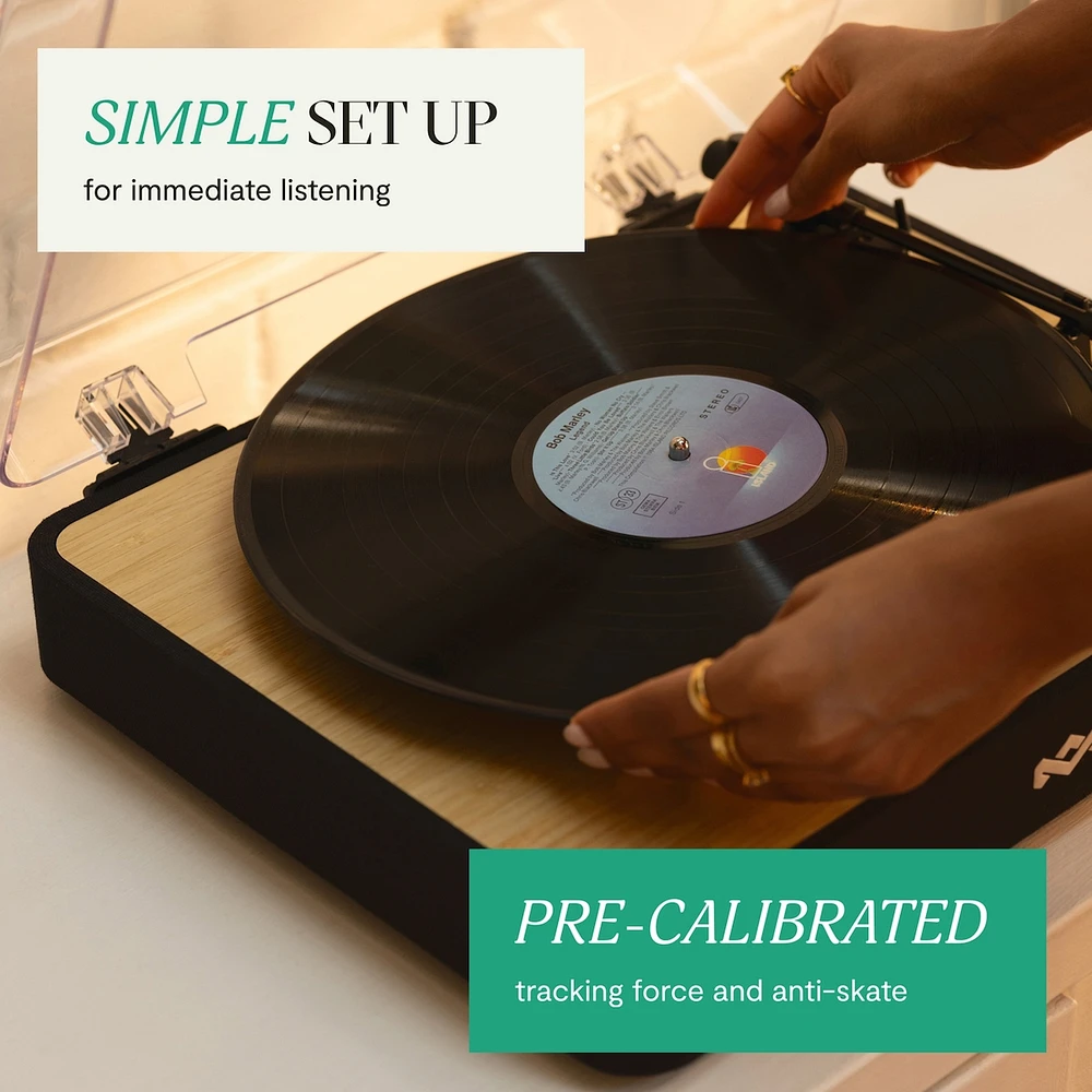 Stir It Up Revolution Turntable
