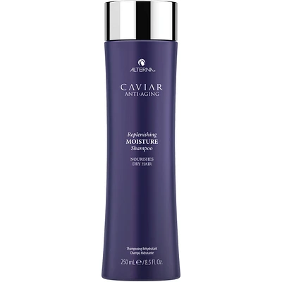 Replenishing Moisture Shampoo