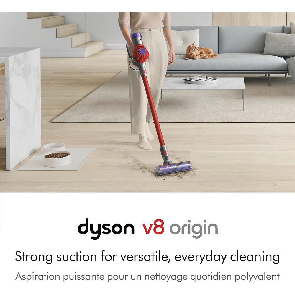 Dyson V8 Origin