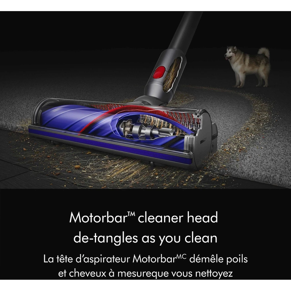 Dyson V8 Origin