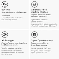 Dyson V8 Origin