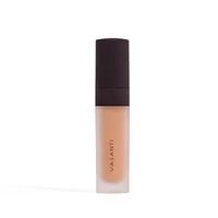 Lit Up! High Coverage Concealer