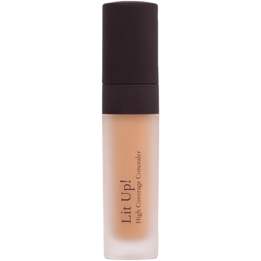 Lit Up! High Coverage Concealer