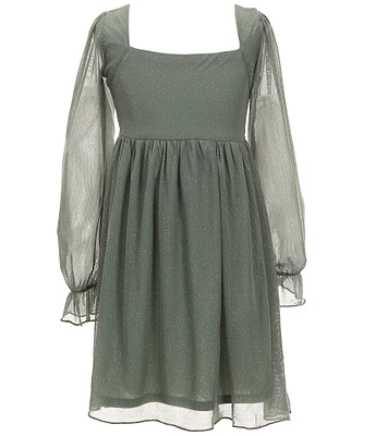 Allison & Kelly Big Girls Long Sleeve Glitter-Accented Mesh Fit-And-FLare Dress