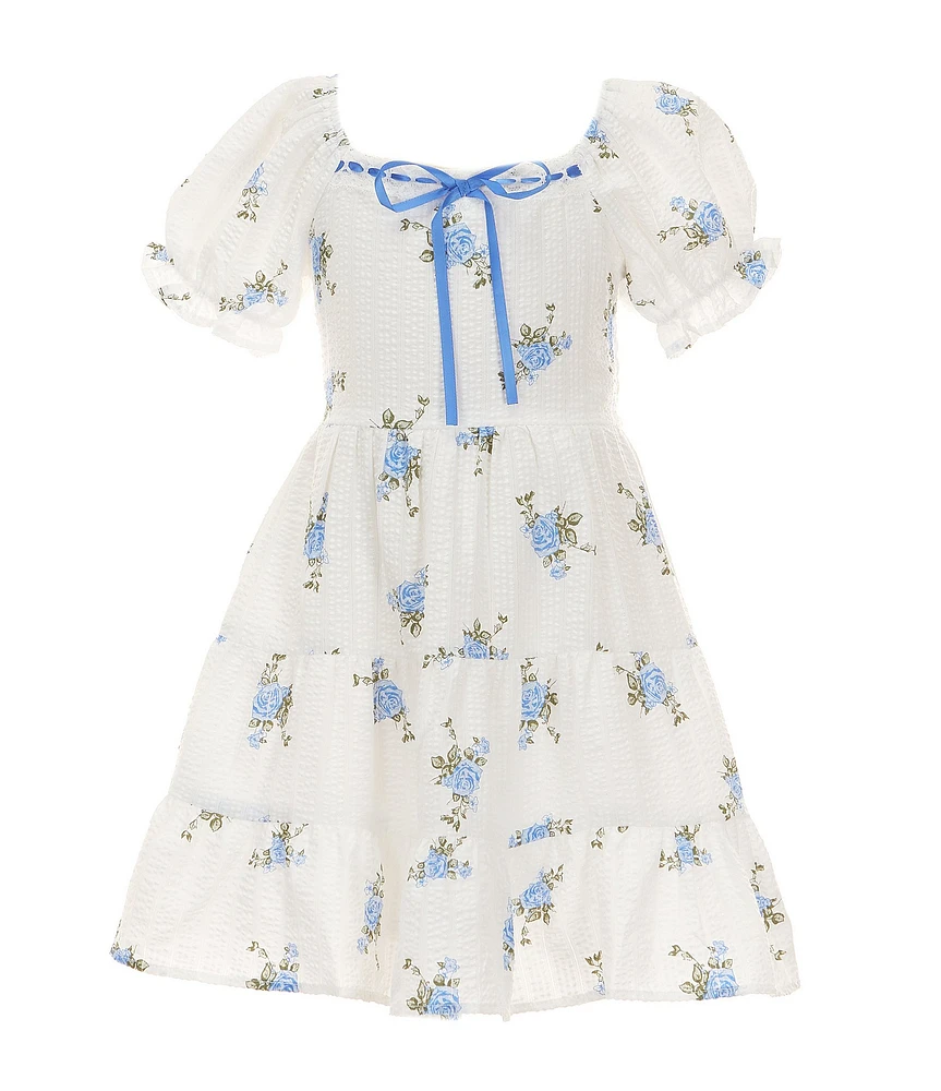 Allison & Kelly Little Girls Short Sleeve Floral Print Seersucker Dress