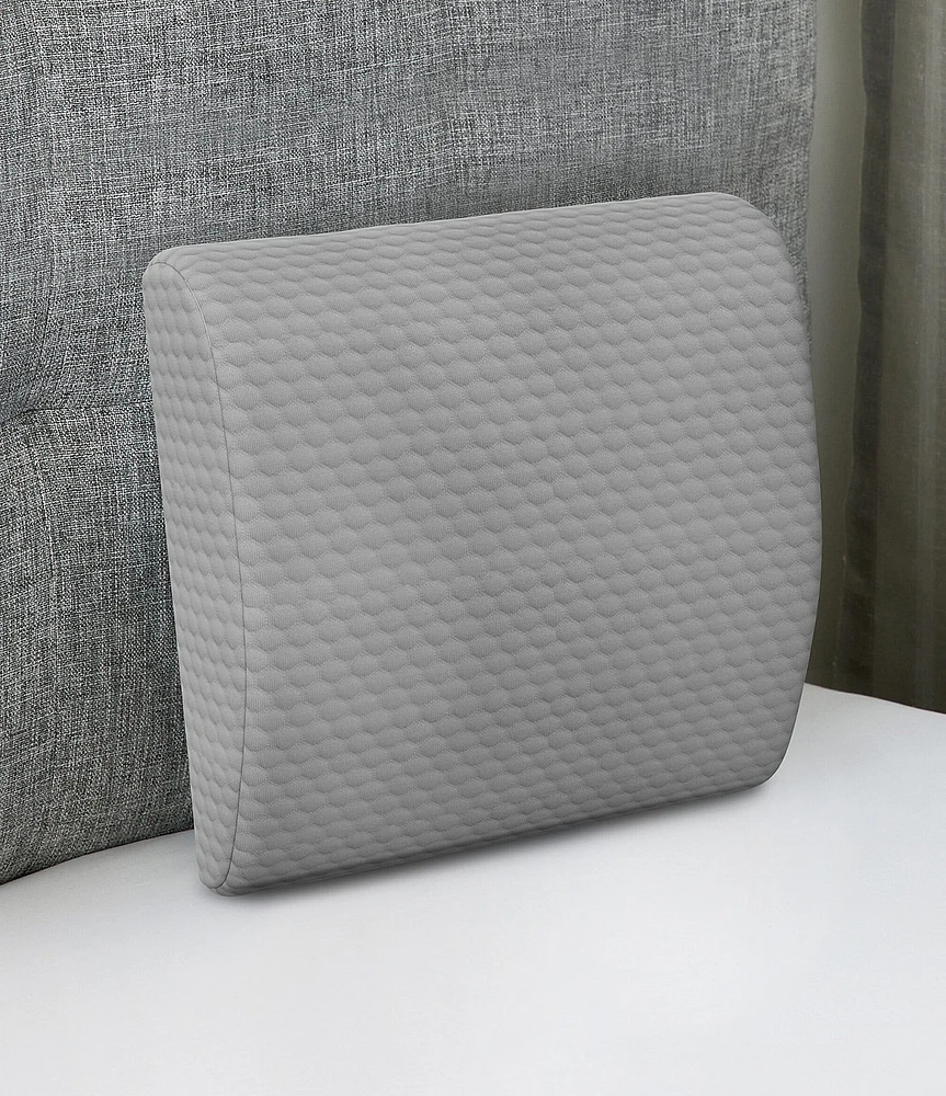 BodiPEDIC Pressure-Relieving Support Memory Foam Lumbar Pillow