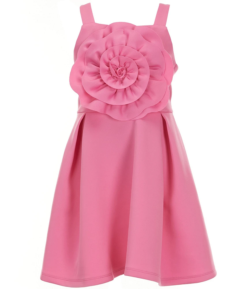 Bonnie Jean Big Girls Sleeveless Sculpted-Flower Fit-And-Flare Dress