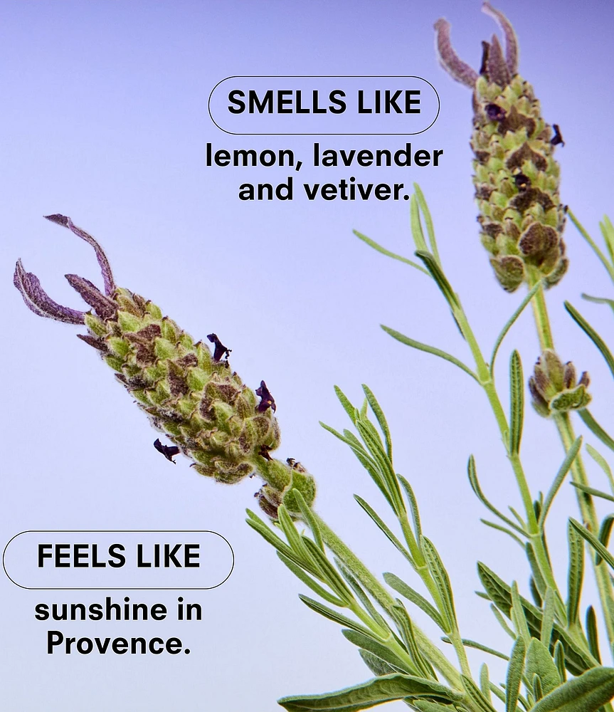 Boy Smells Lavendare