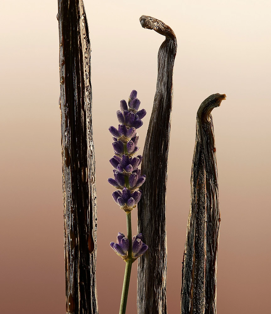 Burberry Burberry Goddess Body Lotion