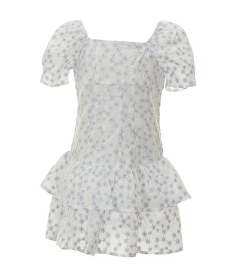 GB Little Girls Mini Embroidered Floral Lace Dress