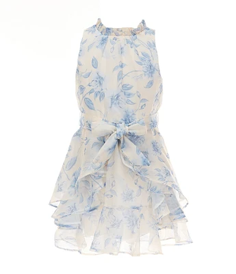 GB Social Little Girls Sleeveless Floral High Neck Dress