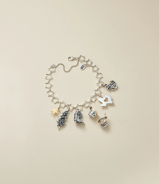 James Avery 14k Gold Star Charm Bracelet The Shops at Willow Bend