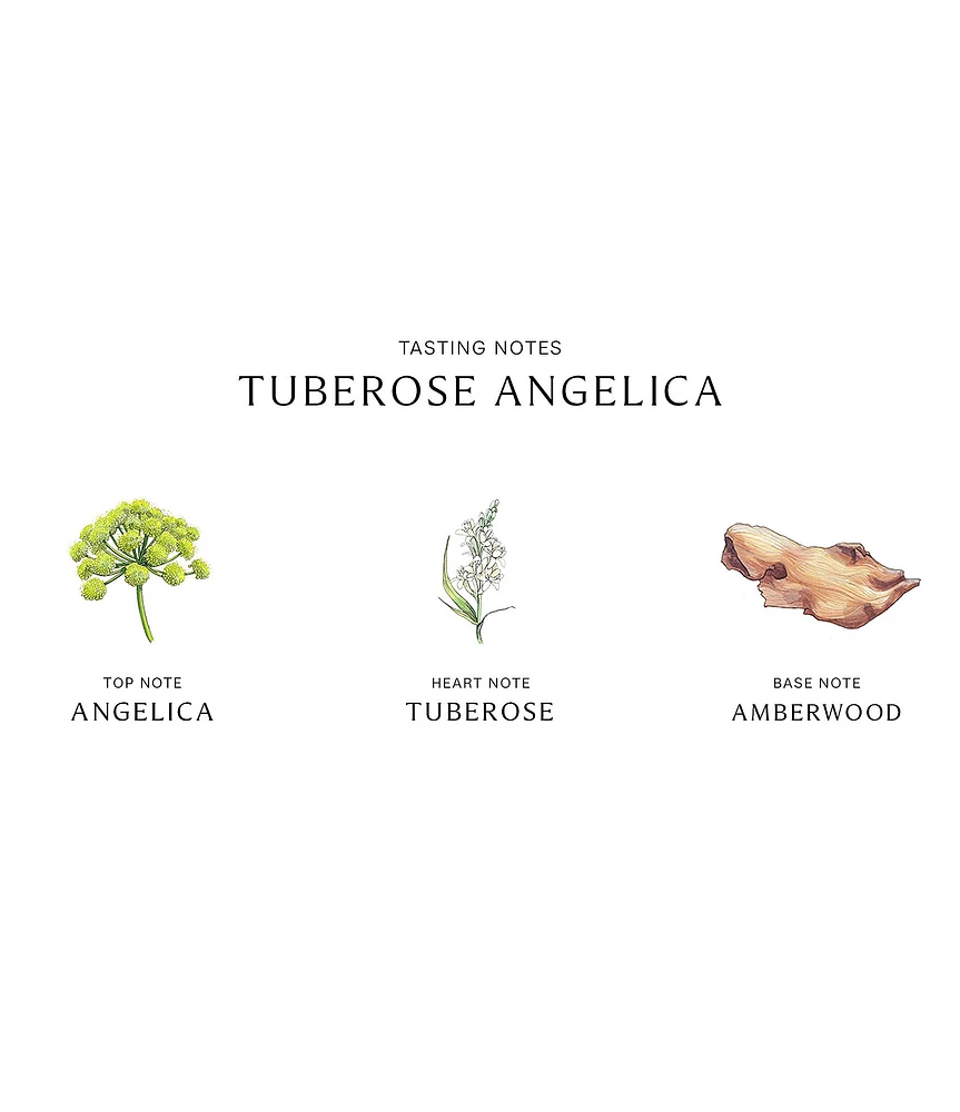 Jo Malone London Tuberose Angelica Body Creme, 6.7-oz.