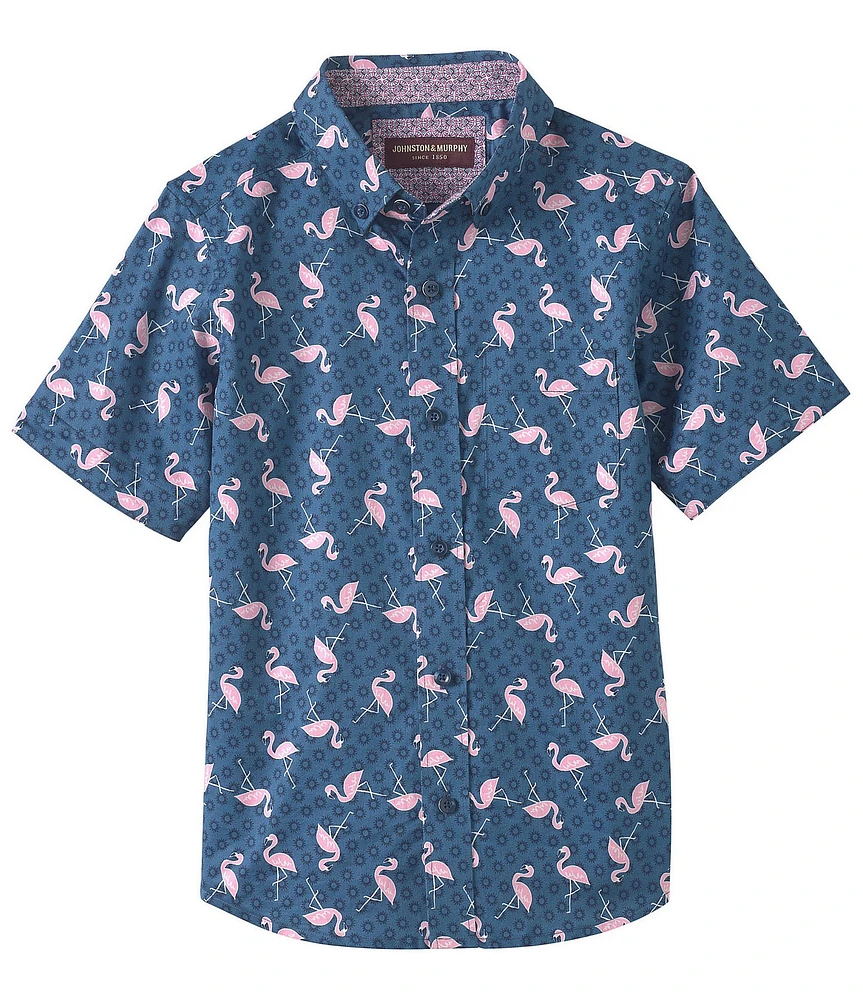 Johnston & Murphy Little/Big Boys 4-16 Short Sleeve Flamingo Sun Print Shirt