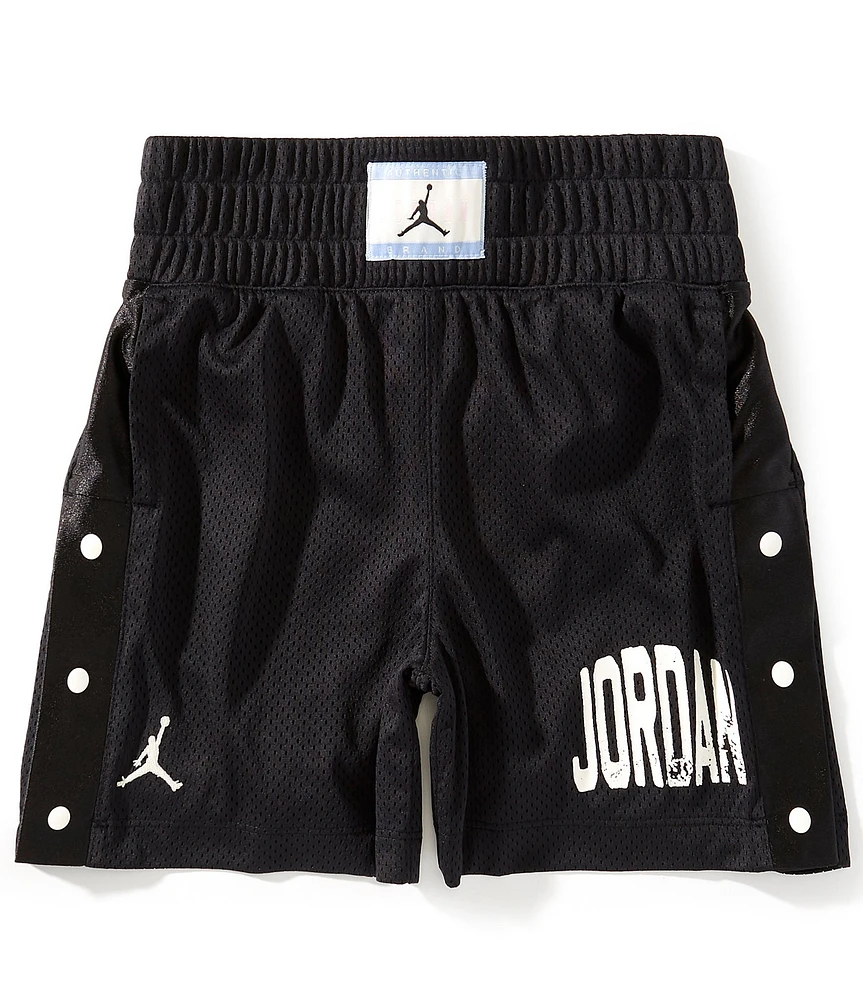 Jordan Big Girls Training Mesh Shorts