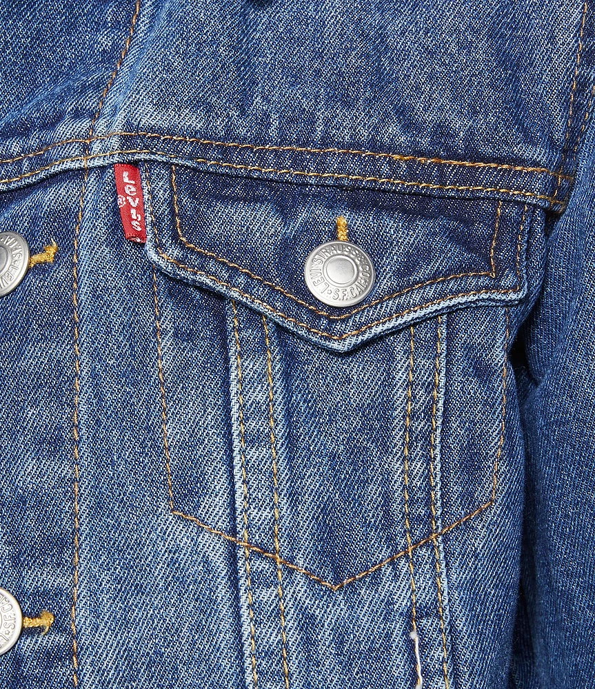 Levi's® Little Boys Denim Trucker Jacket