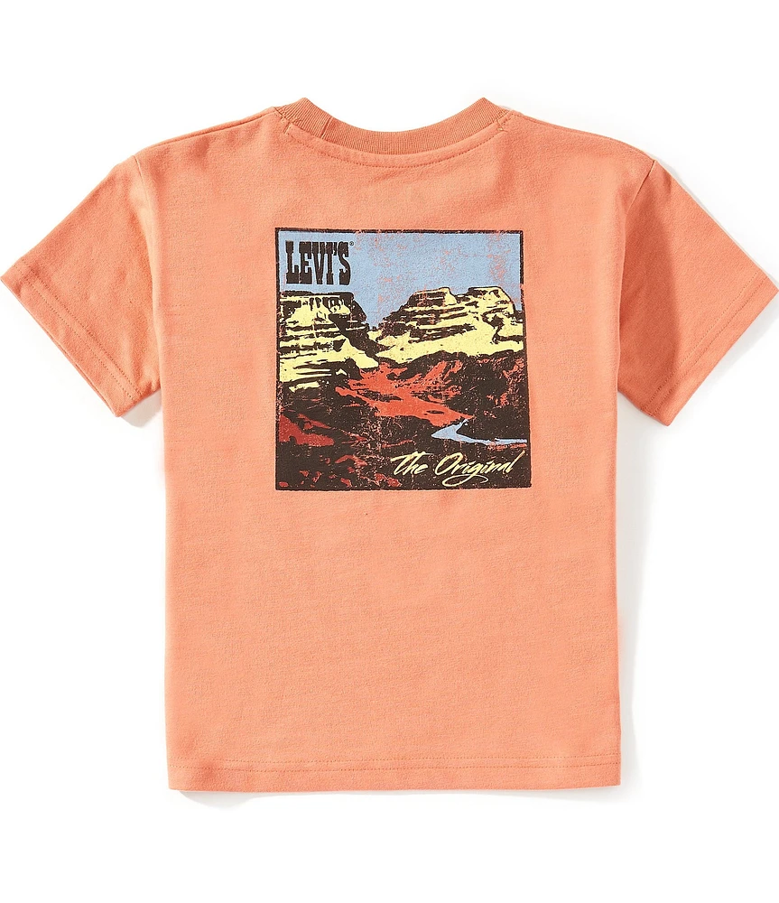 Levi's® Little Boys Short-Sleeve Canyon Landscape T-Shirt