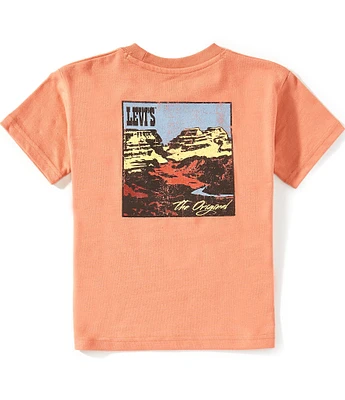 Levi's® Little Boys Short-Sleeve Canyon Landscape T-Shirt