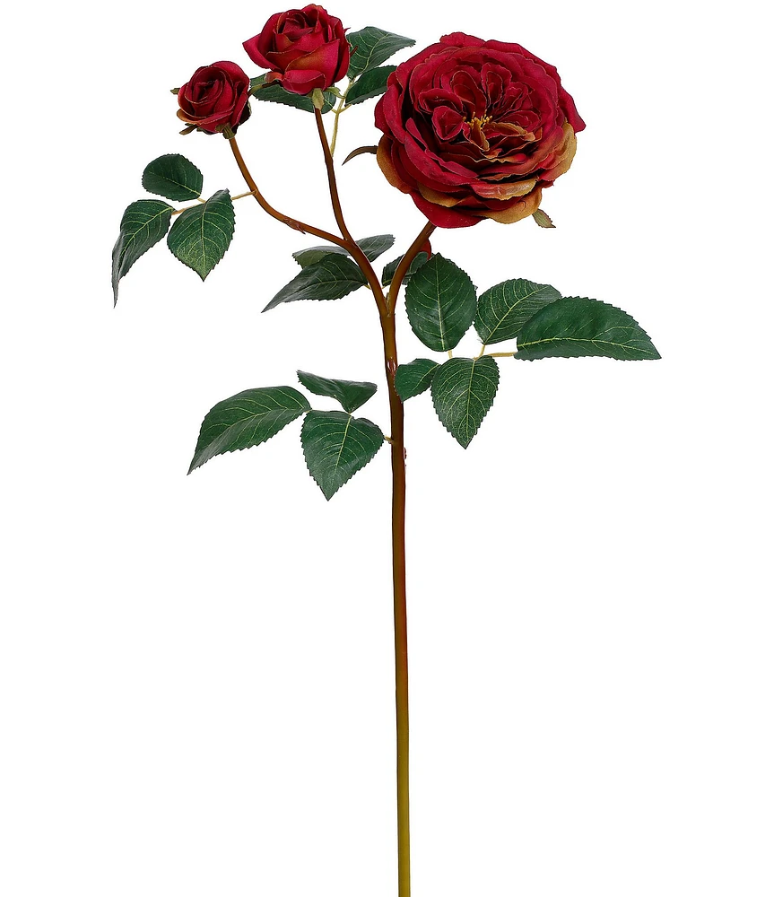 Mark Roberts Cabbage Rose Mauve, Boxed Set of 12