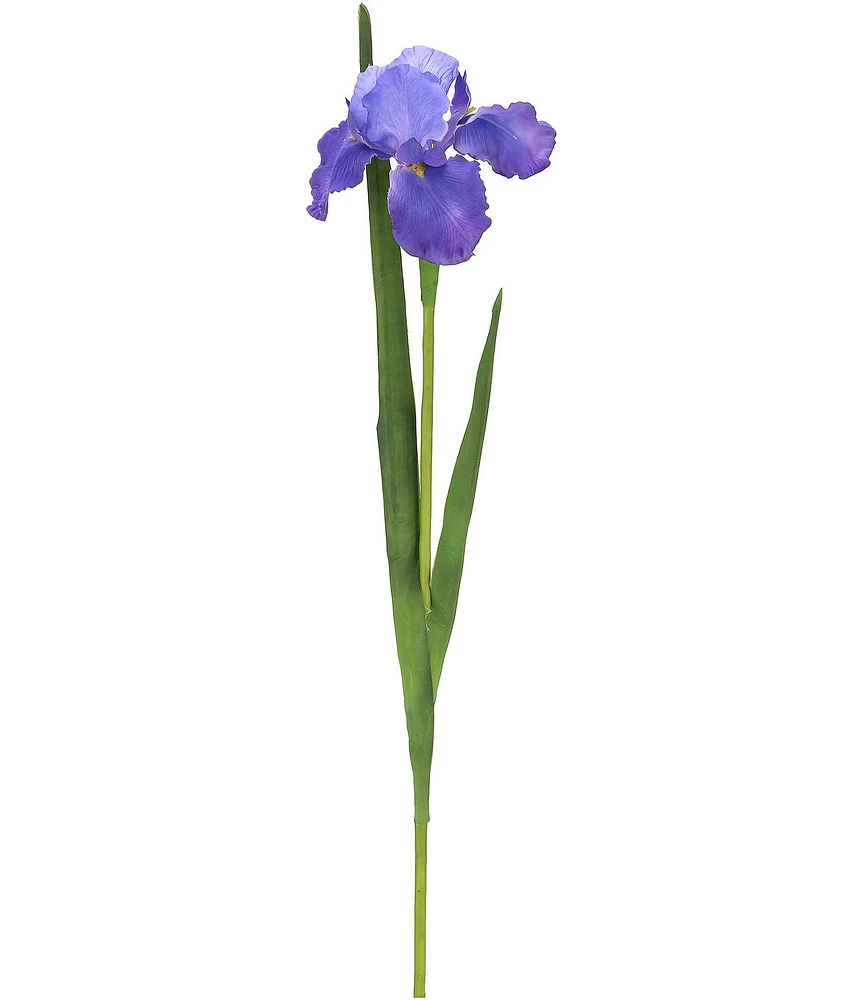 Mark Roberts Iris-Deep Purple- 31#double; Box Set Of 12